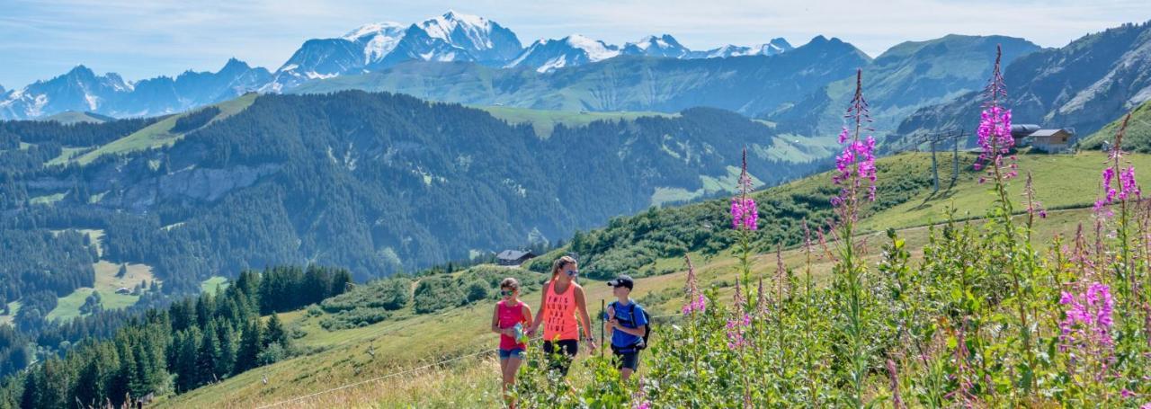 Fleur Des Montagnes Praz-sur-Arly Exterior foto