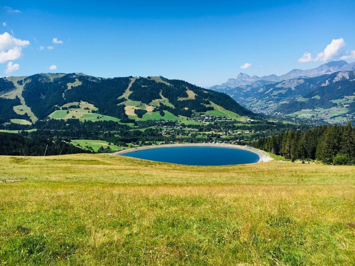 Fleur Des Montagnes Praz-sur-Arly Exterior foto