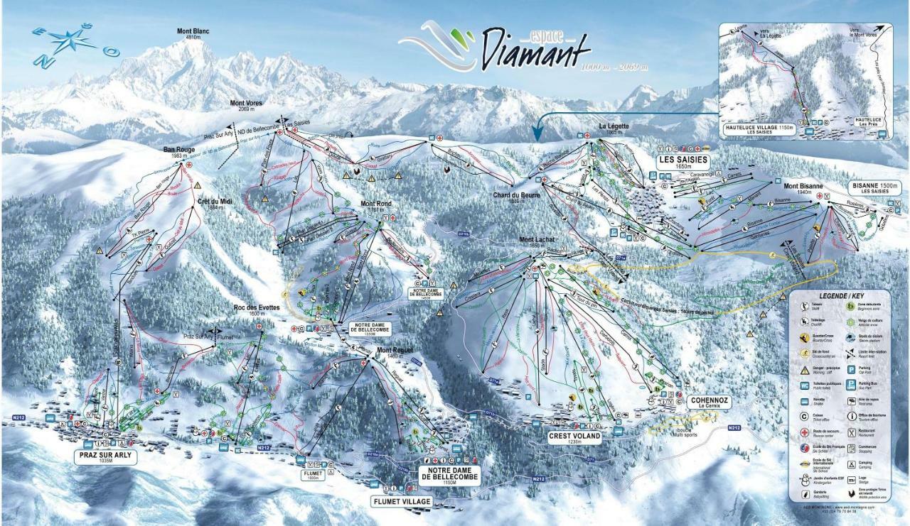 Fleur Des Montagnes Praz-sur-Arly Exterior foto